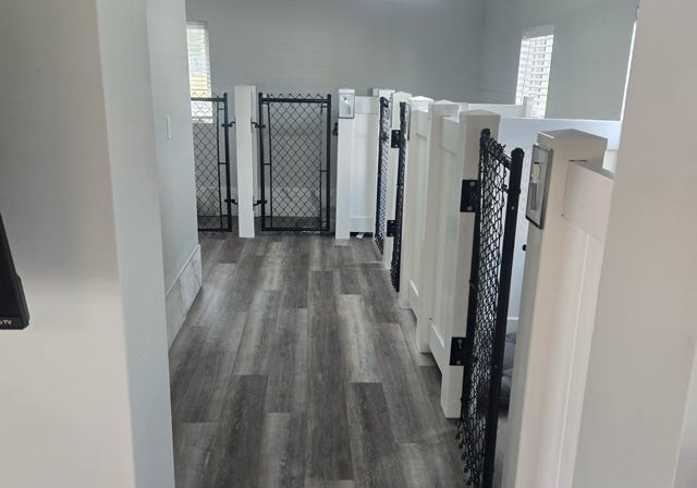 Paws Retreat, dog, cat, boarding, Florida