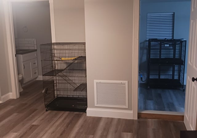 Paws Retreat, dog, cat, boarding, Florida