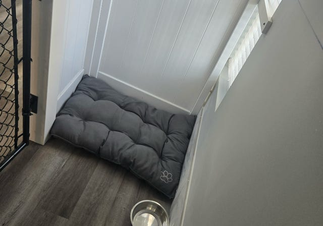 Paws Retreat, dog, cat, boarding, Florida